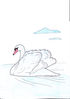 лебедь~2.jpg